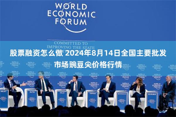 股票融资怎么做 2024年8月14日全国主要批发市场豌豆尖价格行情