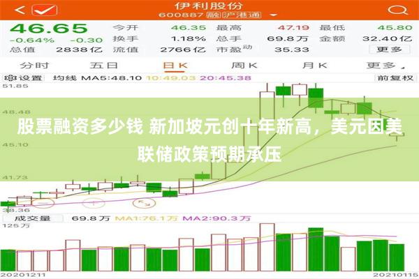 股票融资多少钱 新加坡元创十年新高，美元因美联储政策预期承压