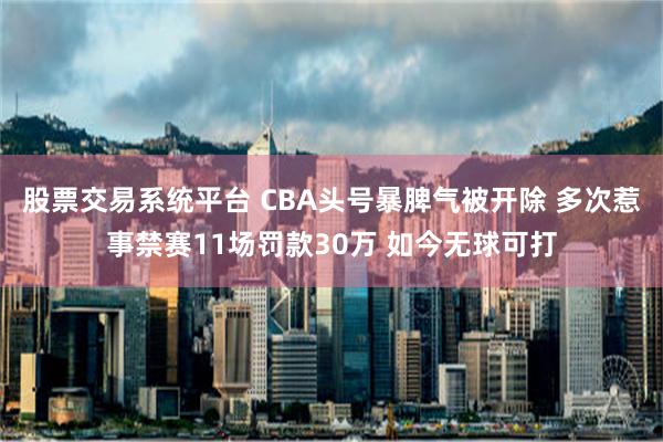 股票交易系统平台 CBA头号暴脾气被开除 多次惹事禁赛11场罚款30万 如今无球可打