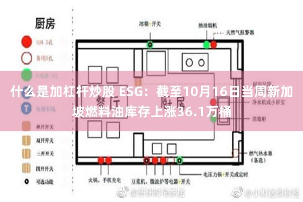 什么是加杠杆炒股 ESG：截至10月16日当周新加坡燃料油库存上涨36.1万桶