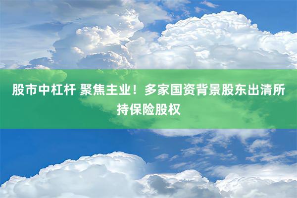 股市中杠杆 聚焦主业！多家国资背景股东出清所持保险股权