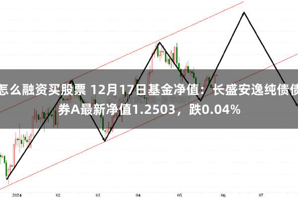 怎么融资买股票 12月17日基金净值：长盛安逸纯债债券A最新净值1.2503，跌0.04%