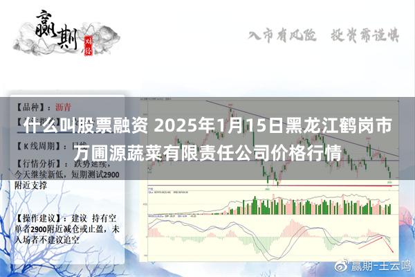 什么叫股票融资 2025年1月15日黑龙江鹤岗市万圃源蔬菜有限责任公司价格行情