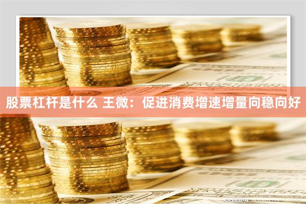 股票杠杆是什么 王微：促进消费增速增量向稳向好